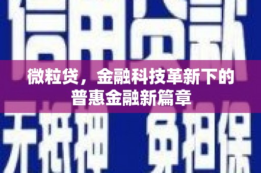 长岭微粒贷，金融科技革新下的普惠金融新篇章