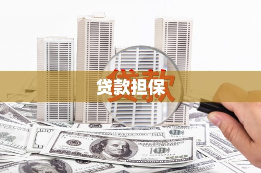 长岭贷款担保