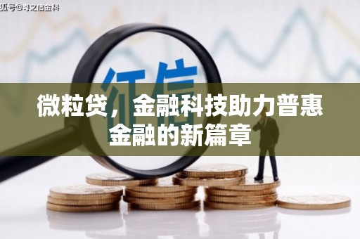 长岭微粒贷，金融科技助力普惠金融的新篇章
