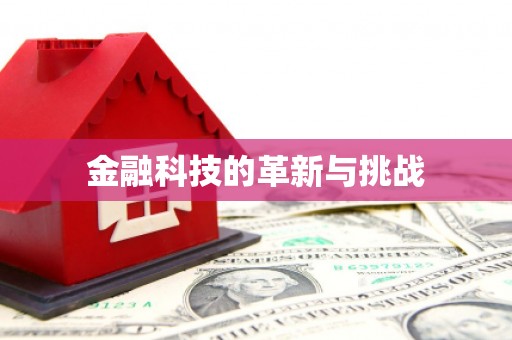 长岭金融科技的革新与挑战