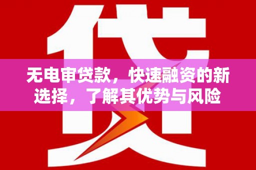 长岭无电审贷款，快速融资的新选择，了解其优势与风险