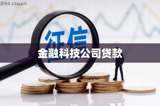 长岭金融科技公司贷款