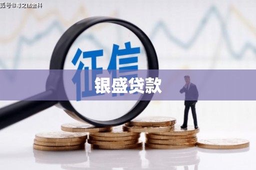 长岭银盛贷款