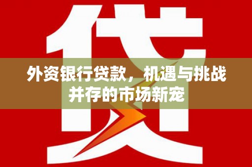 长岭外资银行贷款，机遇与挑战并存的市场新宠