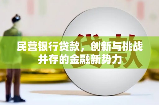 长岭民营银行贷款，创新与挑战并存的金融新势力