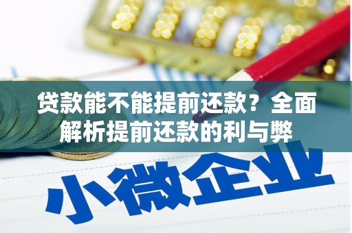 长岭贷款能不能提前还款？全面解析提前还款的利与弊