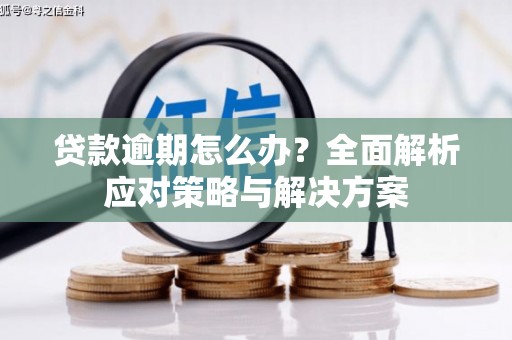 长岭贷款逾期怎么办？全面解析应对策略与解决方案