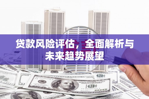 长岭贷款风险评估，全面解析与未来趋势展望