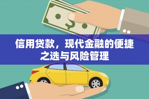 长岭信用贷款，现代金融的便捷之选与风险管理