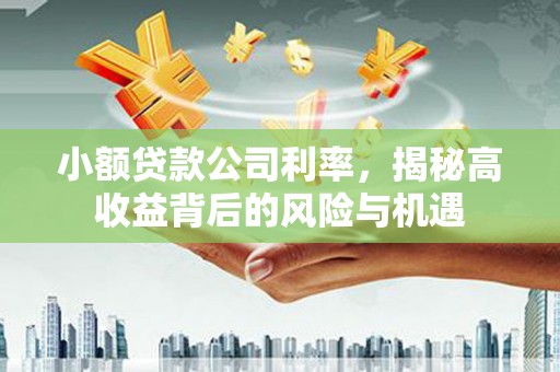 长岭小额贷款公司利率，揭秘高收益背后的风险与机遇