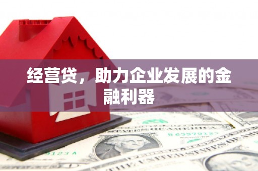 长岭经营贷，助力企业发展的金融利器