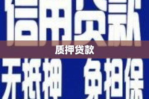 长岭质押贷款