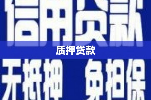 长岭质押贷款