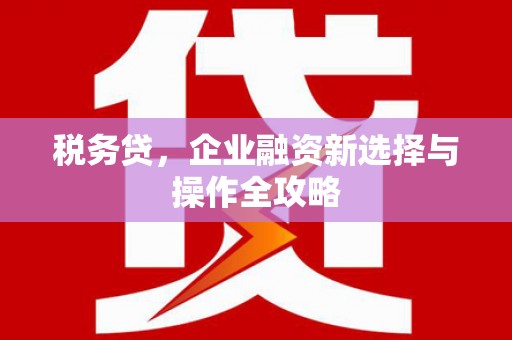 长岭税务贷，企业融资新选择与操作全攻略