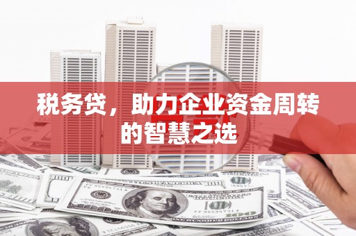 长岭税务贷，助力企业资金周转的智慧之选