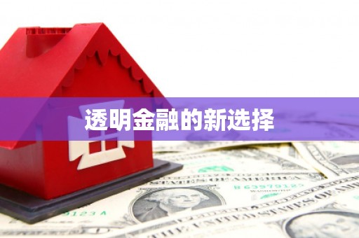 长岭透明金融的新选择