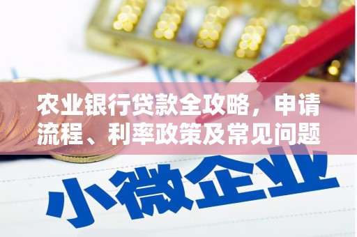 长岭农业银行贷款全攻略，申请流程、利率政策及常见问题解析