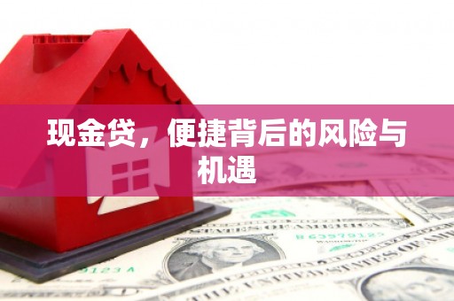 长岭现金贷，便捷背后的风险与机遇