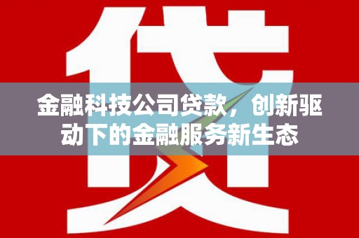 长岭金融科技公司贷款，创新驱动下的金融服务新生态