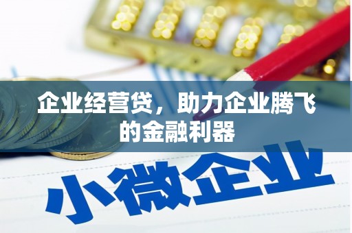 长岭企业经营贷，助力企业腾飞的金融利器