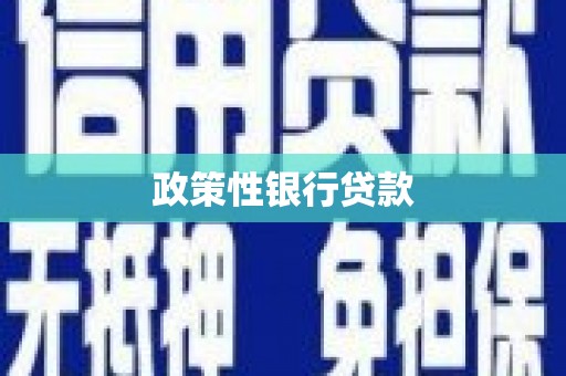 长岭政策性银行贷款