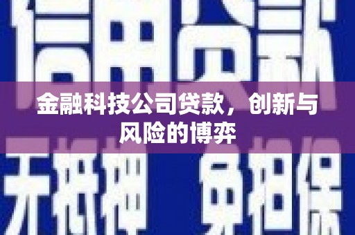 长岭金融科技公司贷款，创新与风险的博弈