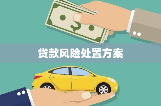 长岭贷款风险处置方案