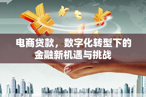 长岭电商贷款，数字化转型下的金融新机遇与挑战
