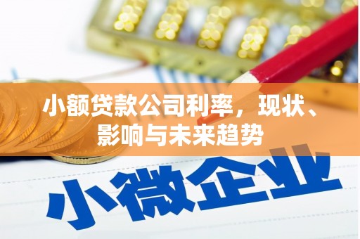长岭小额贷款公司利率，现状、影响与未来趋势