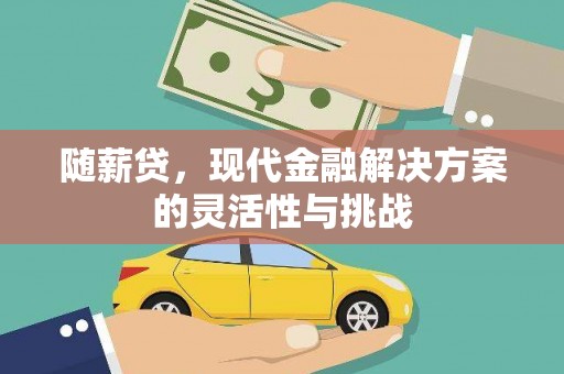 长岭随薪贷，现代金融解决方案的灵活性与挑战