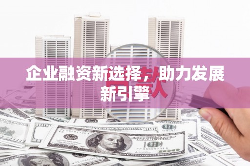 长岭企业融资新选择，助力发展新引擎