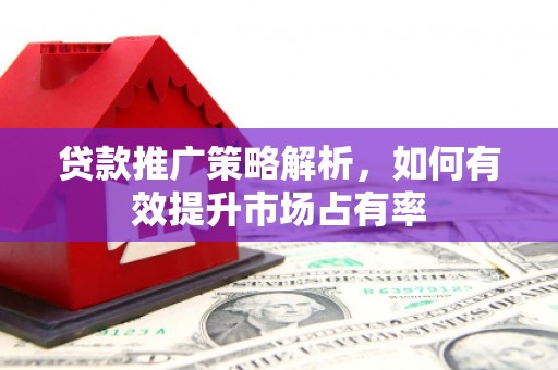 长岭贷款推广策略解析，如何有效提升市场占有率