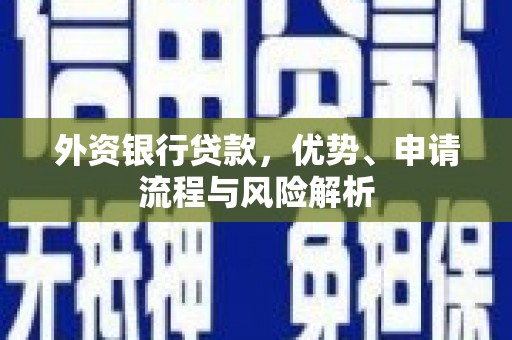 长岭外资银行贷款，优势、申请流程与风险解析