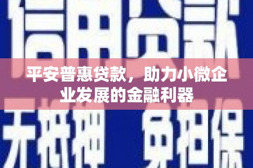 长岭平安普惠贷款，助力小微企业发展的金融利器