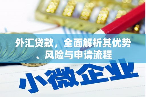 长岭外汇贷款，全面解析其优势、风险与申请流程