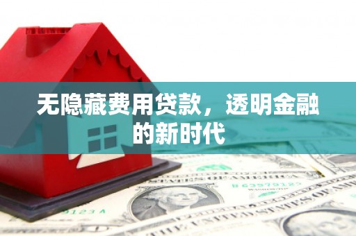 长岭无隐藏费用贷款，透明金融的新时代
