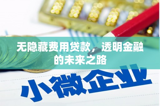 长岭无隐藏费用贷款，透明金融的未来之路