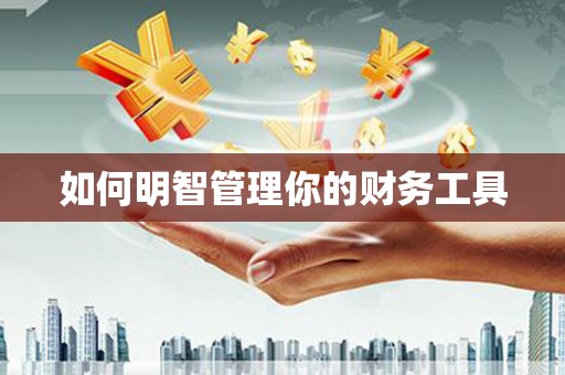 长岭如何明智管理你的财务工具