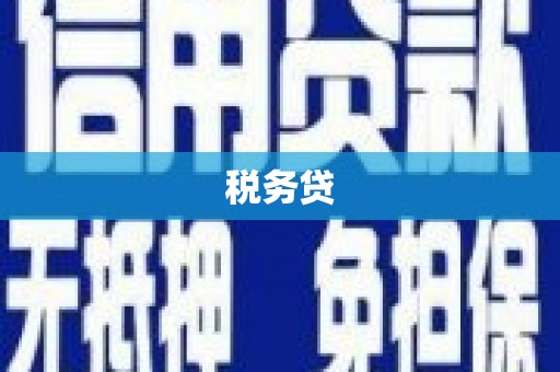 长岭税务贷