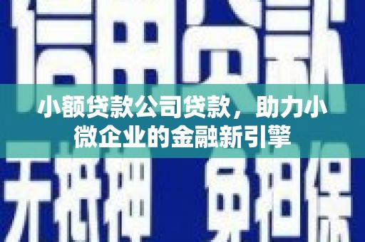 长岭小额贷款公司贷款，助力小微企业的金融新引擎