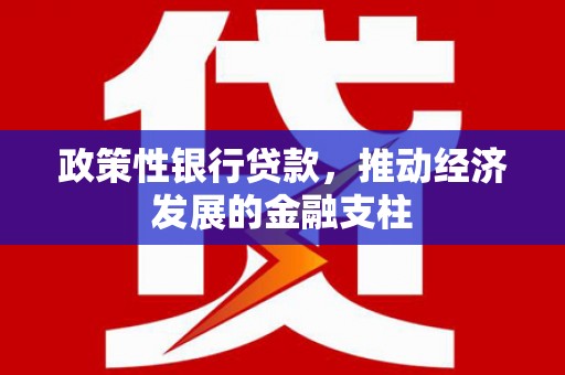 长岭政策性银行贷款，推动经济发展的金融支柱