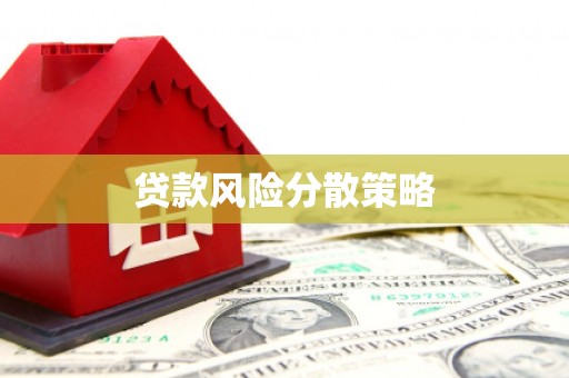 长岭贷款风险分散策略
