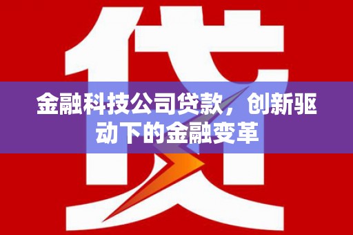 长岭金融科技公司贷款，创新驱动下的金融变革