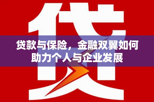 长岭贷款与保险，金融双翼如何助力个人与企业发展