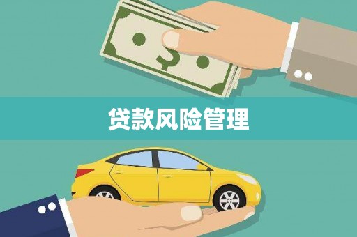 长岭贷款风险管理