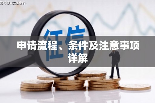 长岭申请流程、条件及注意事项详解