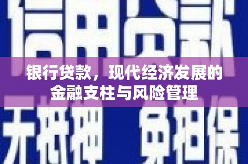 长岭银行贷款，现代经济发展的金融支柱与风险管理