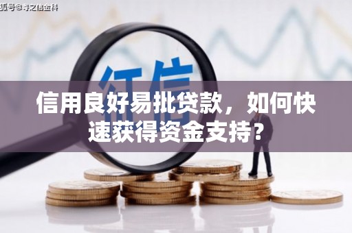 长岭信用良好易批贷款，如何快速获得资金支持？