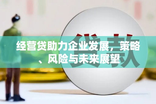 长岭经营贷助力企业发展，策略、风险与未来展望