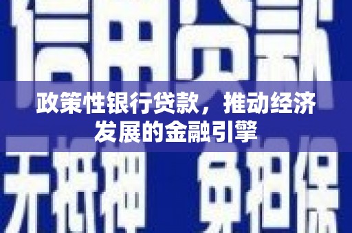长岭政策性银行贷款，推动经济发展的金融引擎